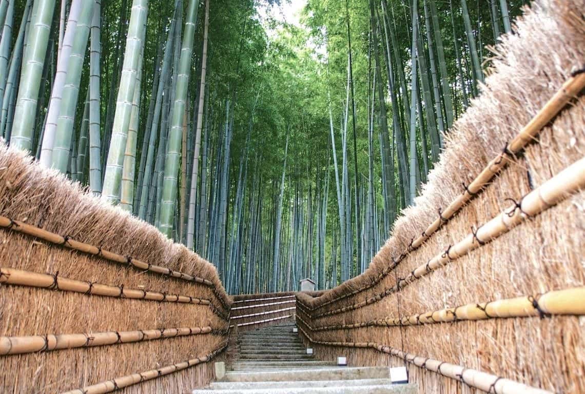 Adashino Nenbutsuji Temple