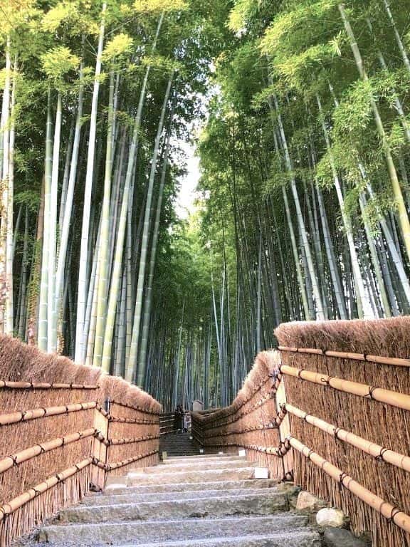 Adashino Nenbutsuji Temple