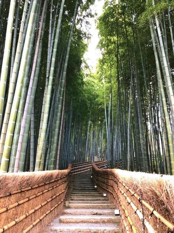 Adashino Nenbutsuji Temple