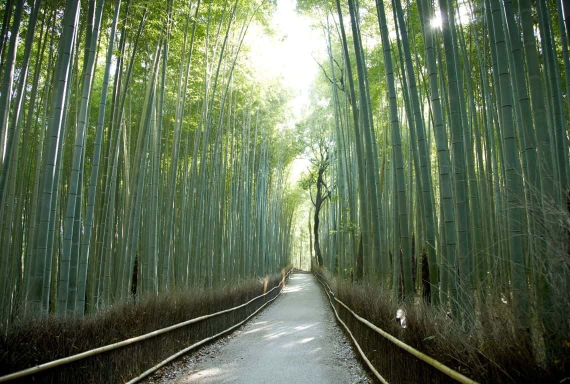 Things to do in Arashiyama