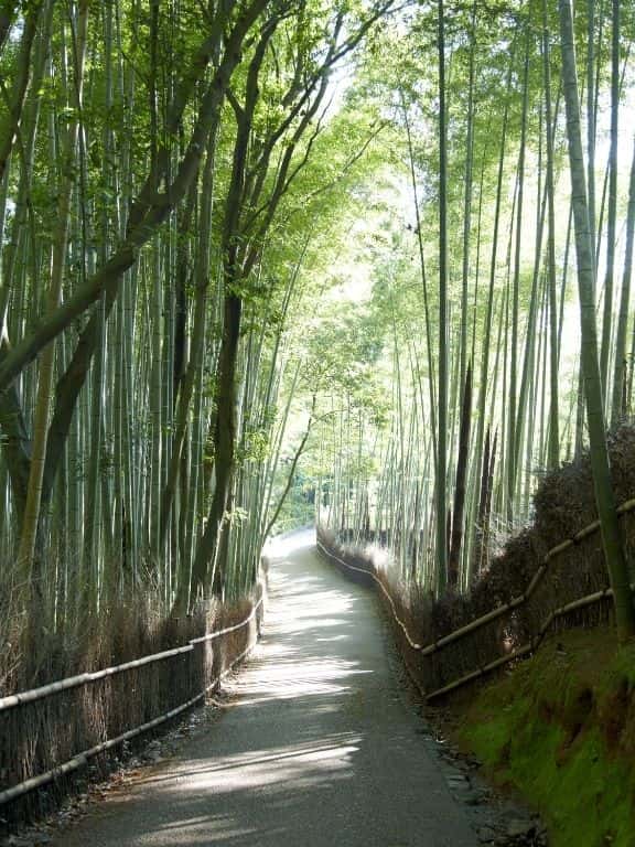 Arashiyama Bamboo Grove