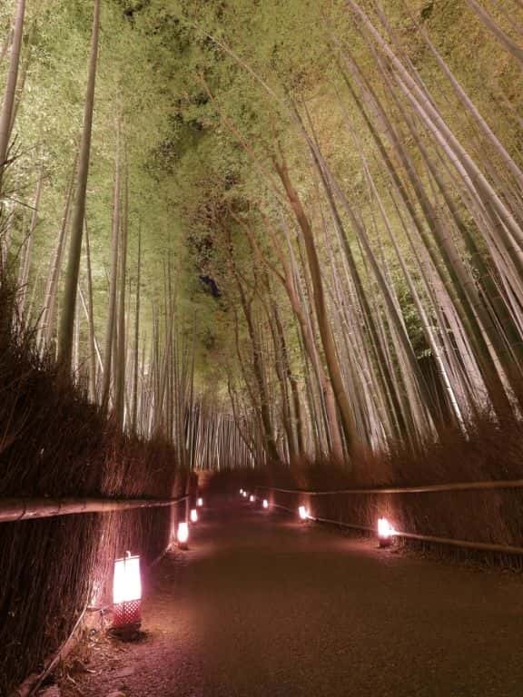 Things to Do in Arashiyama, Kyoto