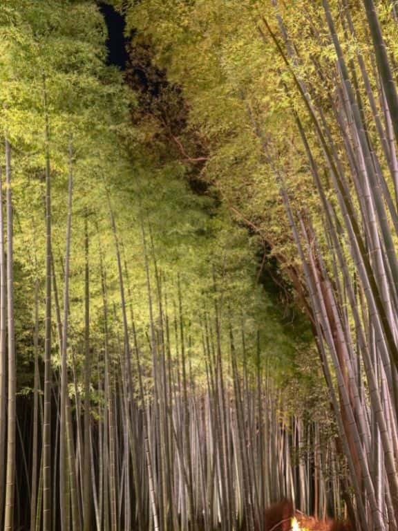 Things to Do in Arashiyama, Kyoto