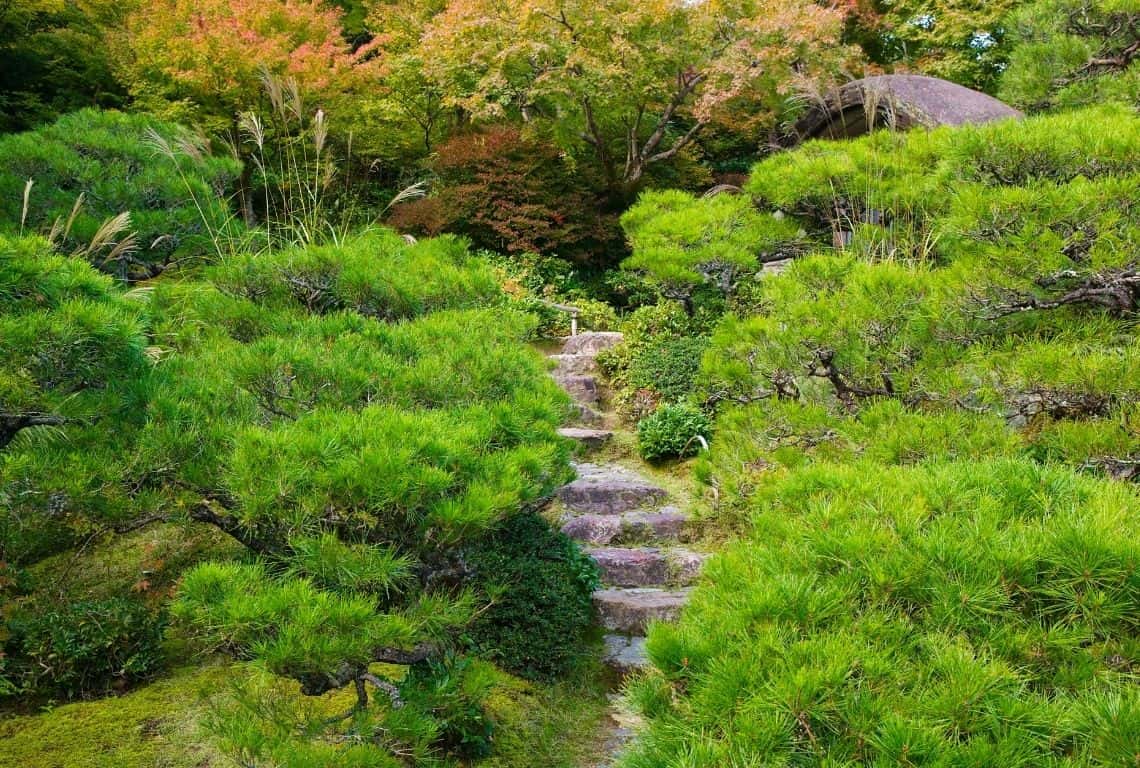 Things to Do in Arashiyama