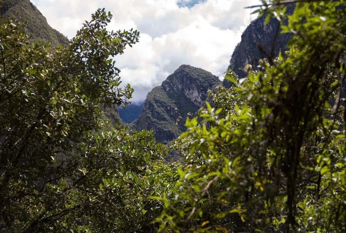 Hiking to Machu Picchu from Aguas Calientes