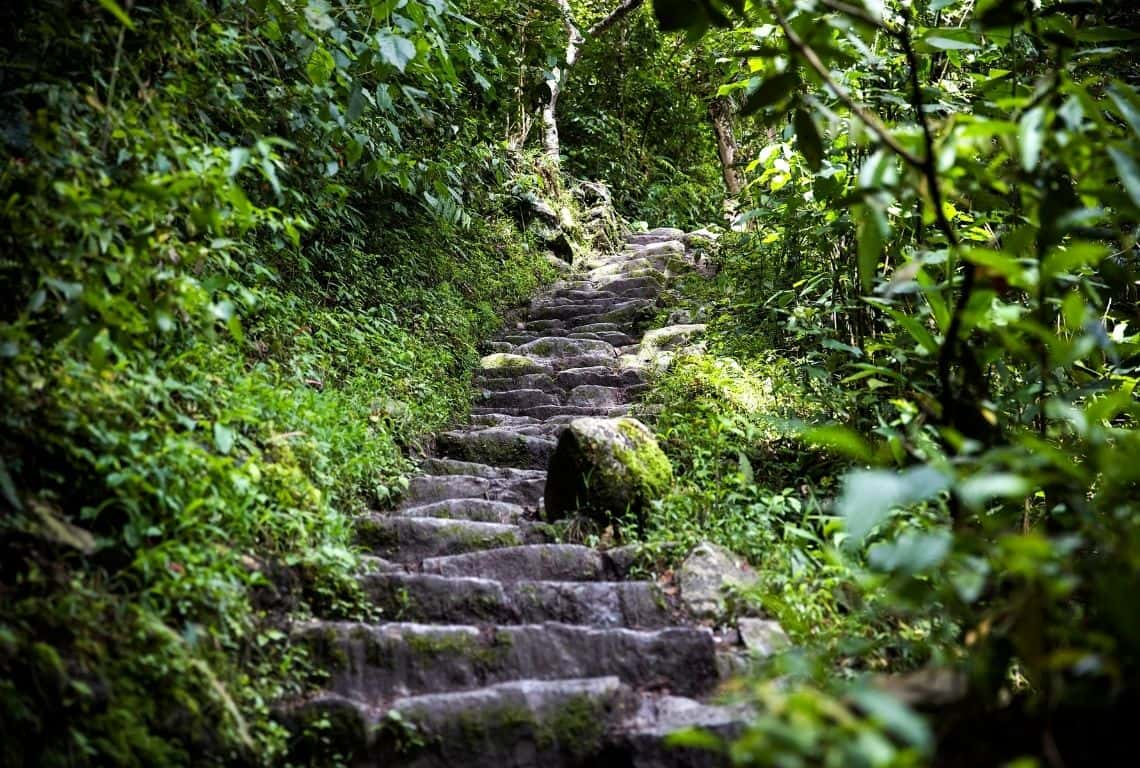 Hiking to Machu Picchu from Aguas Calientes