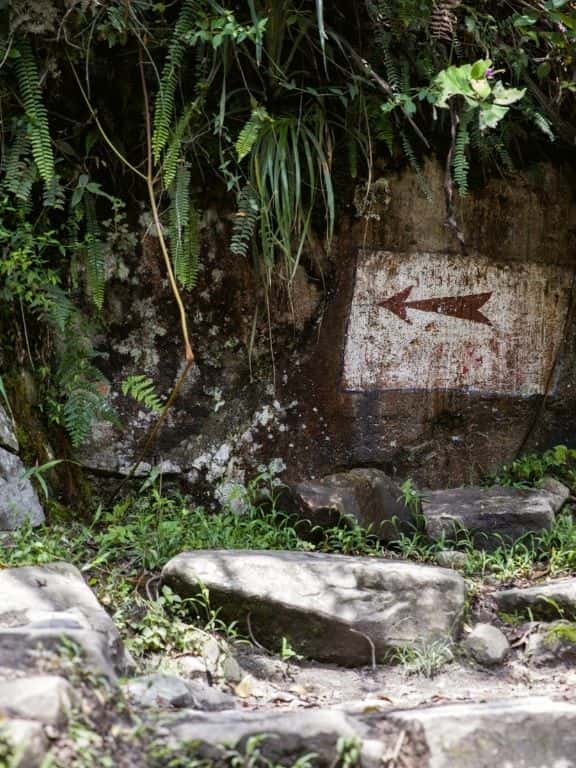 Hiking to Machu Picchu from Aguas Calientes