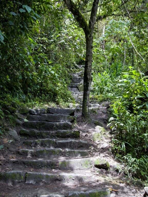 Hiking to Machu Picchu from Aguas Calientes