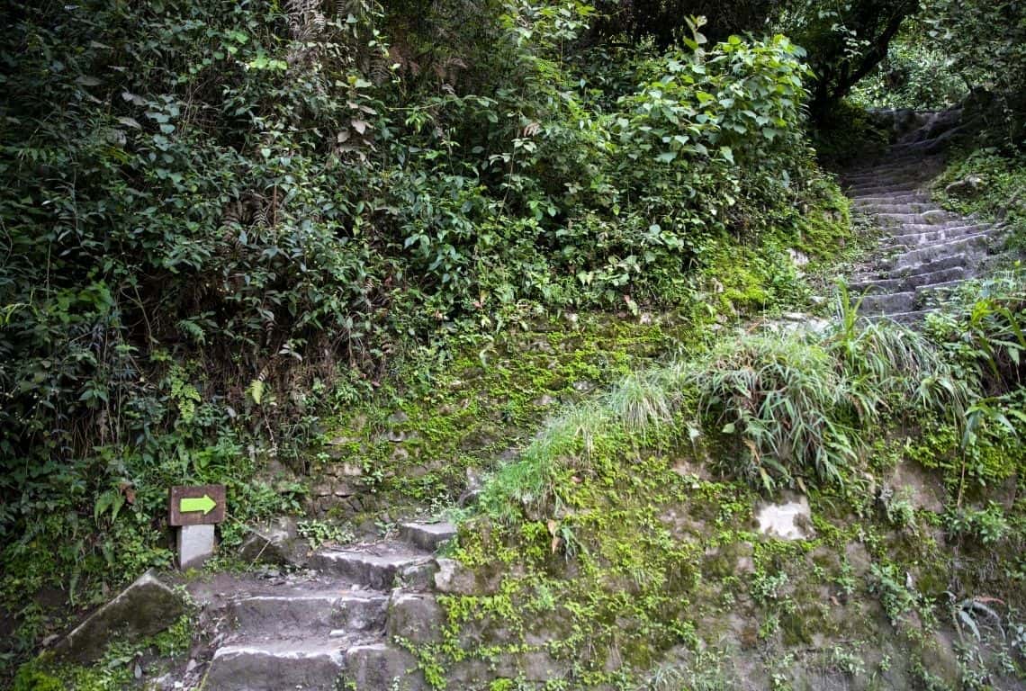 Hiking to Machu Picchu from Aguas Calientes