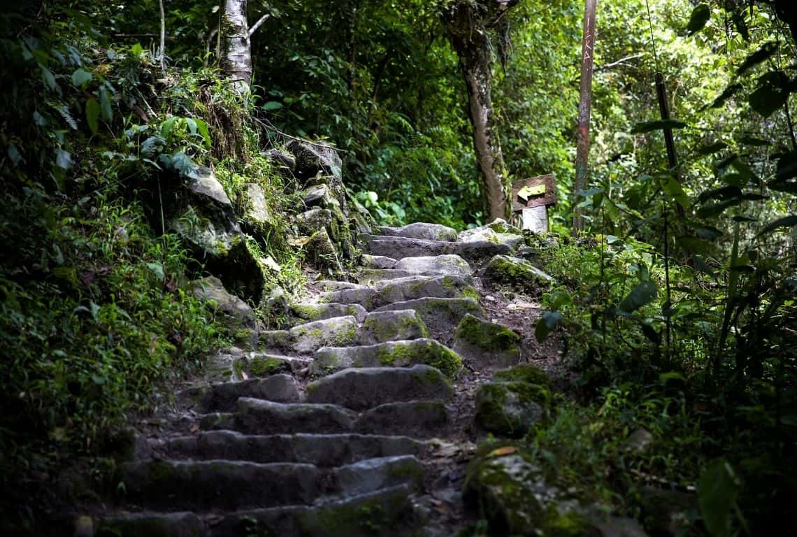 Hiking to Machu Picchu from Aguas Calientes