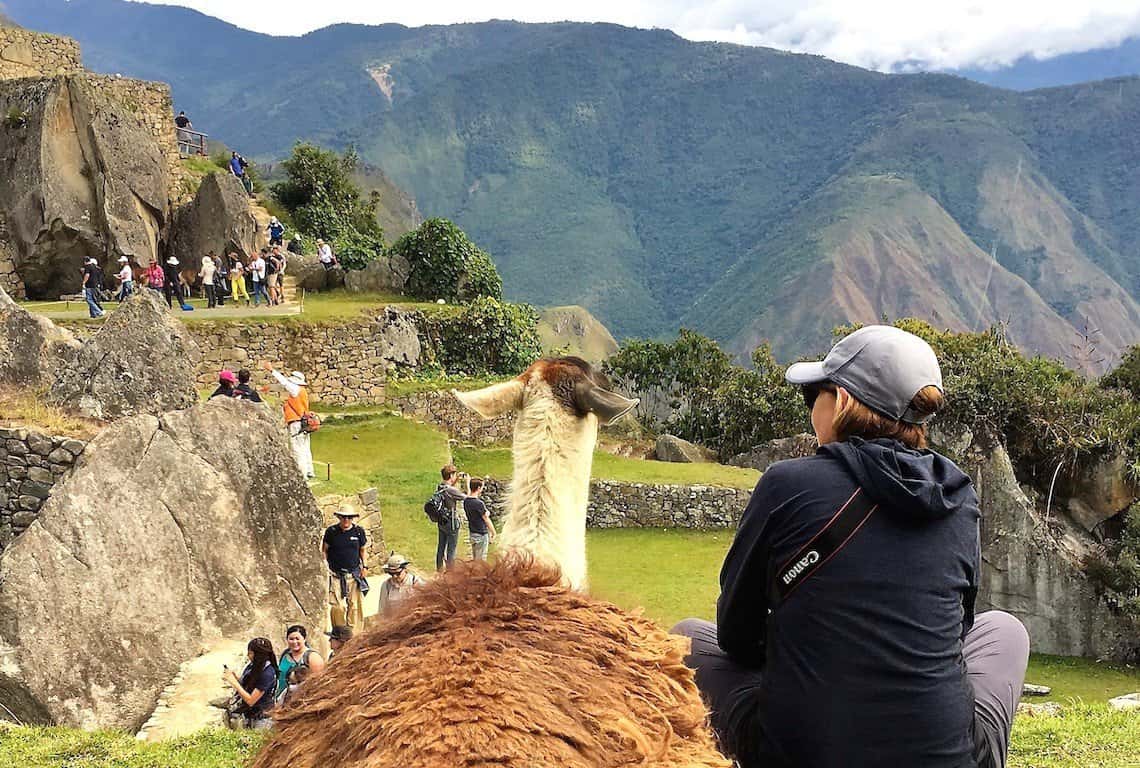 Machu Picchu - Top Tips for Visiting the City of Incas