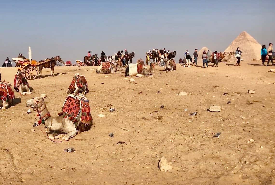 Things to do at the Pyramids of Giza