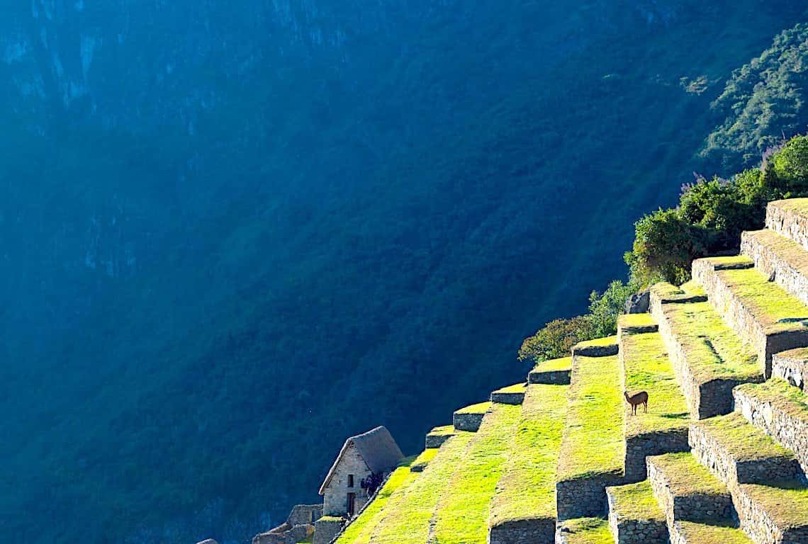 Things to Do at Machu Picchu