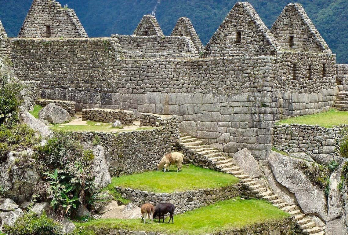 Machu Picchu tips for visiting