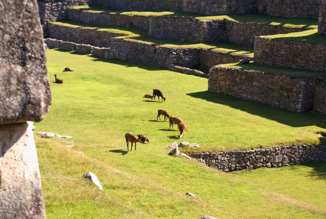 Self-Guided Machu Picchu Tour