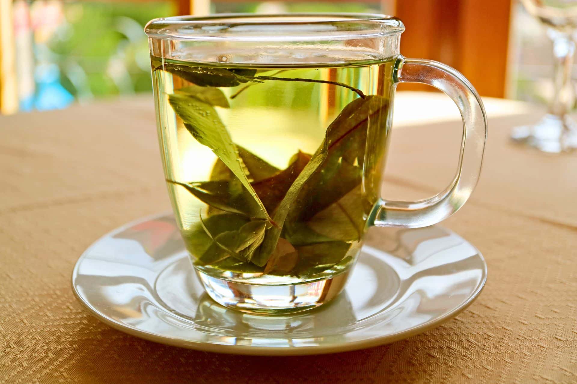 Coca Leaves Tea