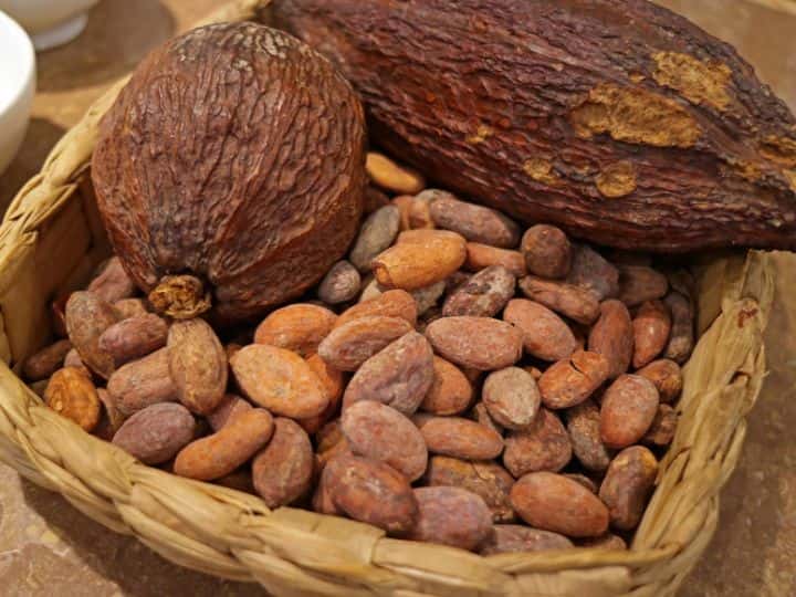 Activities in Cusco Dry Cacao Pod