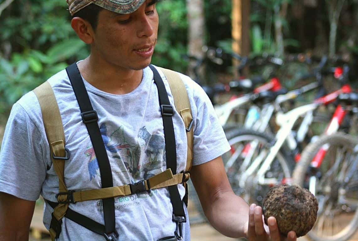 Peruvian Amazon Rainforest 3-Day Itinerary