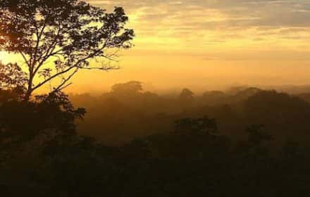 Peruvian Amazon Rainforest 3-Day Itinerary