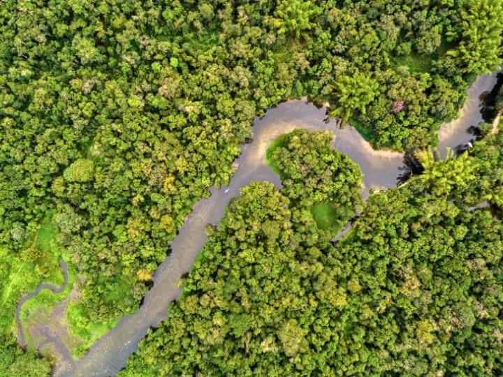 Amazon, Peru