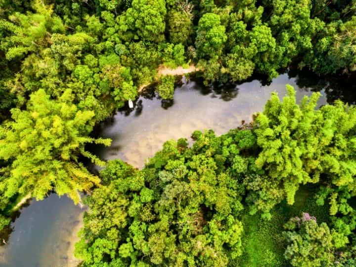 Amazon, Peru