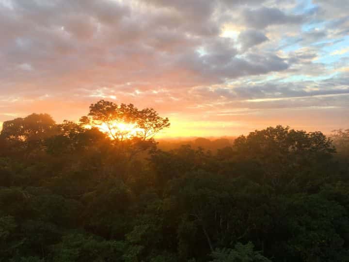 Amazon, Peru