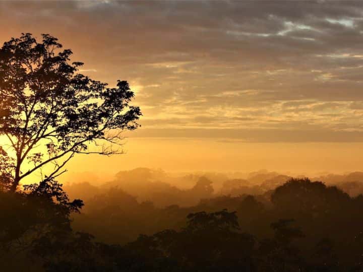 Amazon, Peru