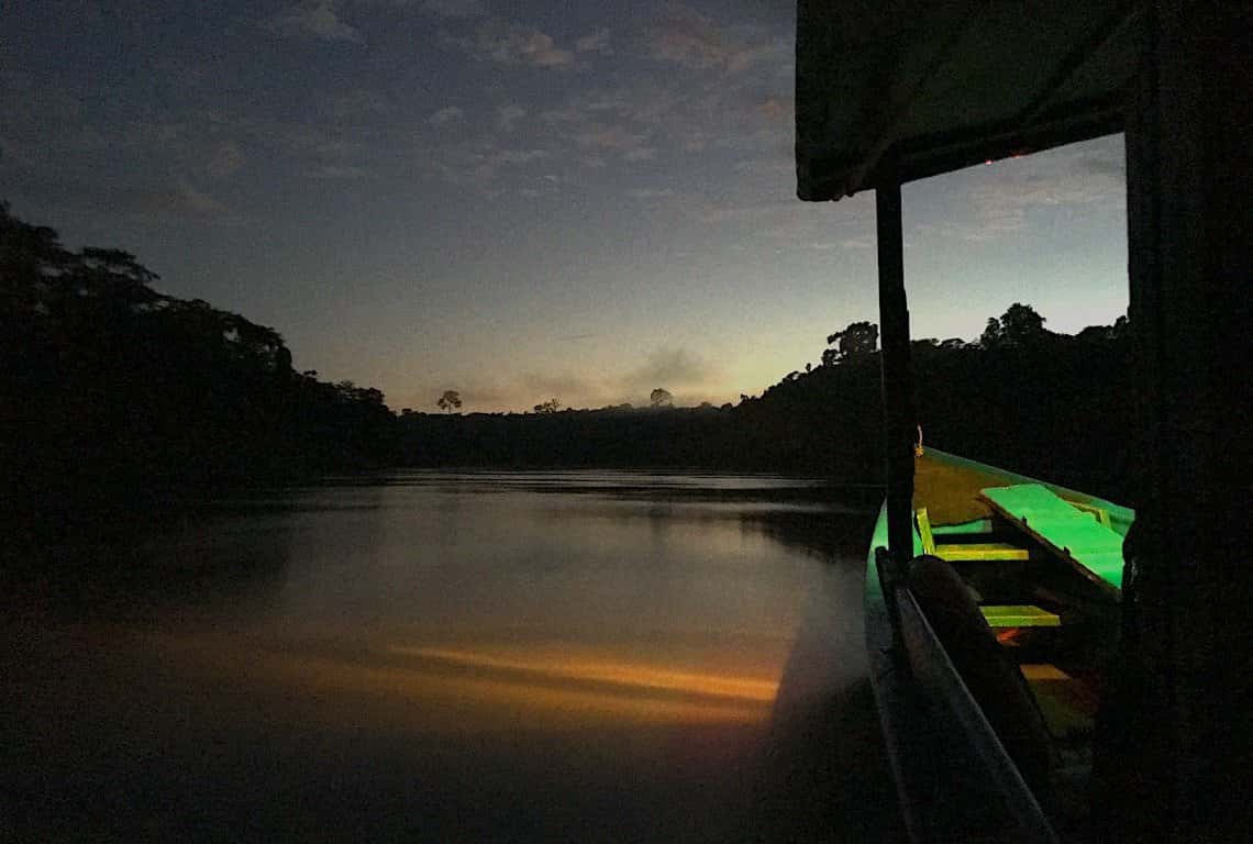Peruvian Amazon Rainforest
