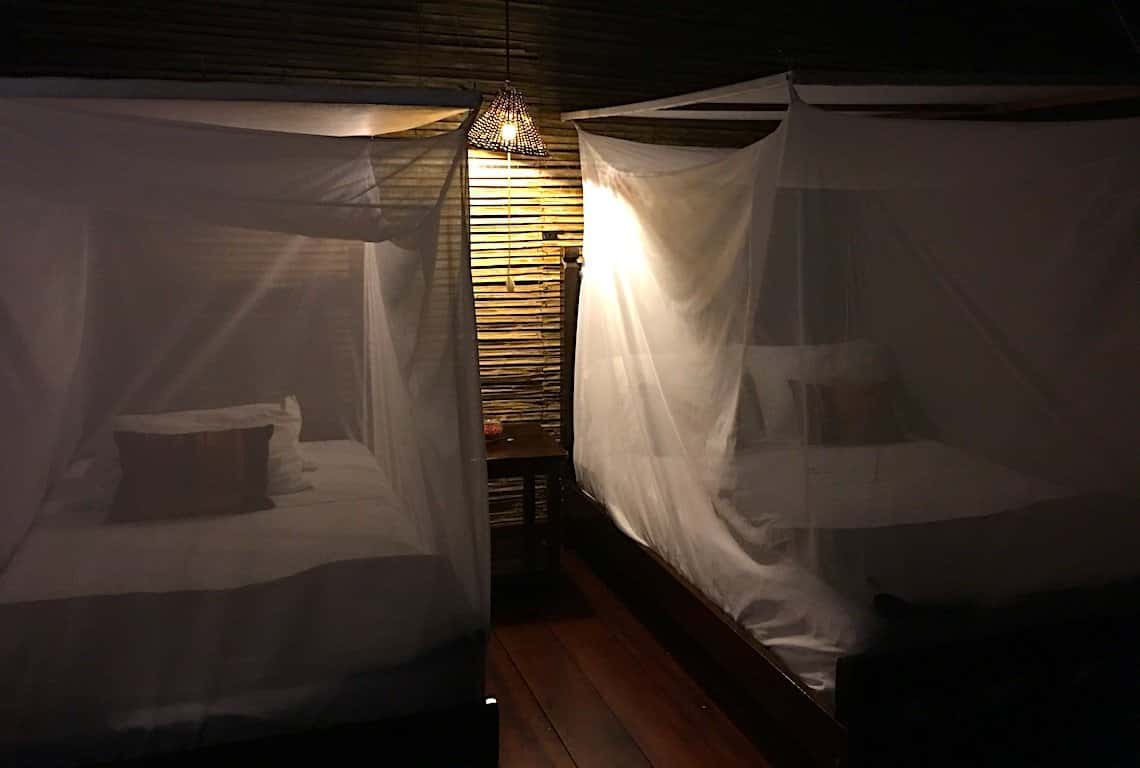 Peruvian Amazon Rainforest 3-Day Itinerary