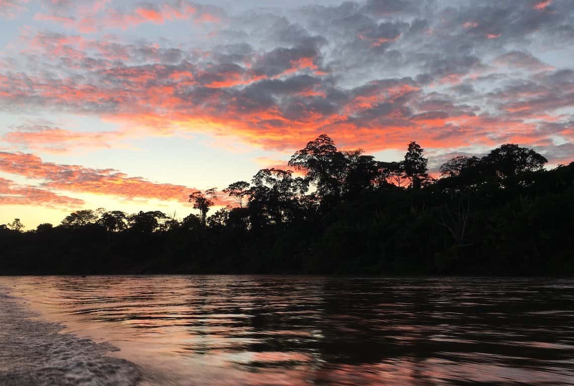 Peruvian Amazon Rainforest