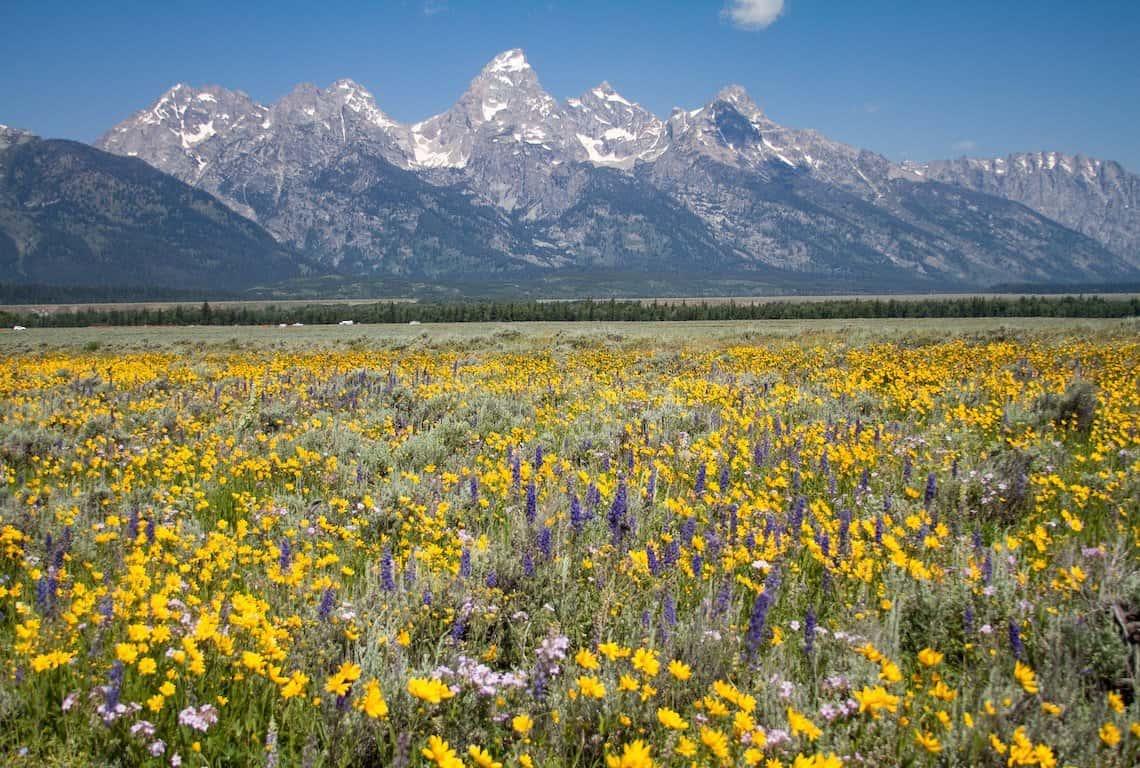 Grand Teton National Park