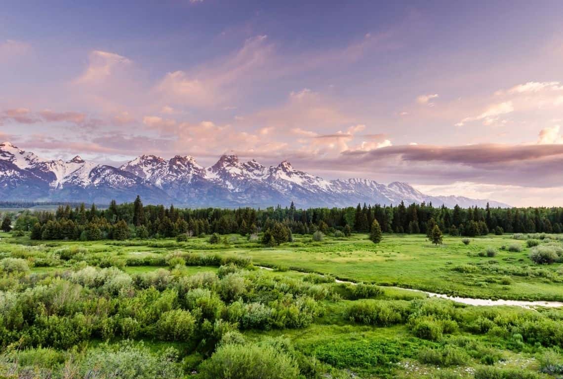 Blacktail Ponds Overlook in Grand Teton