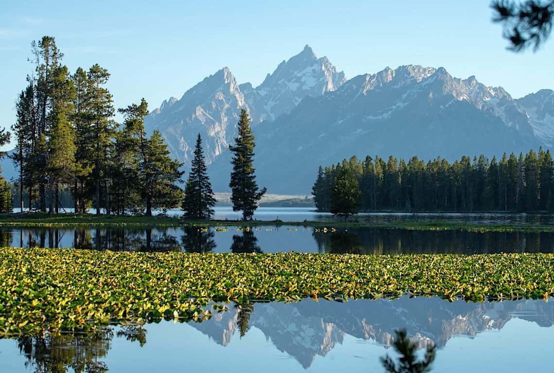 Heron Pond in Grand Teton