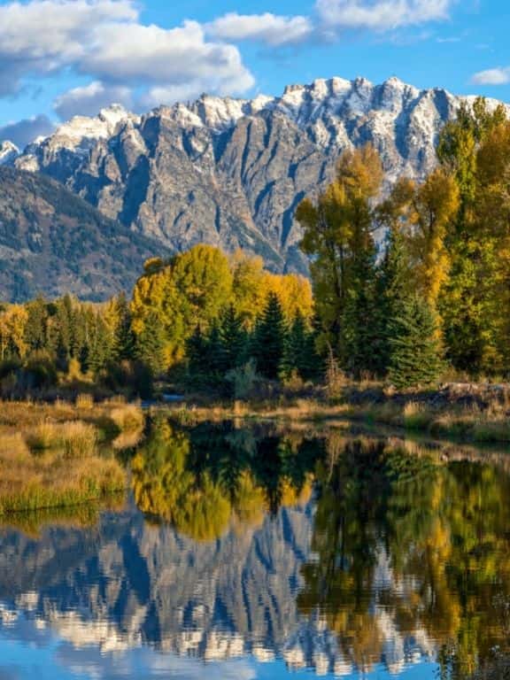 Schwabacher Landing Trail