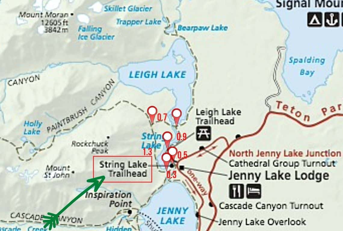 Easy Hikes in Grand Teton National Park