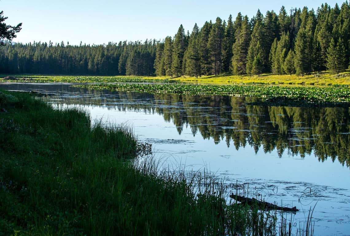 Swan Lake in Grand Teton