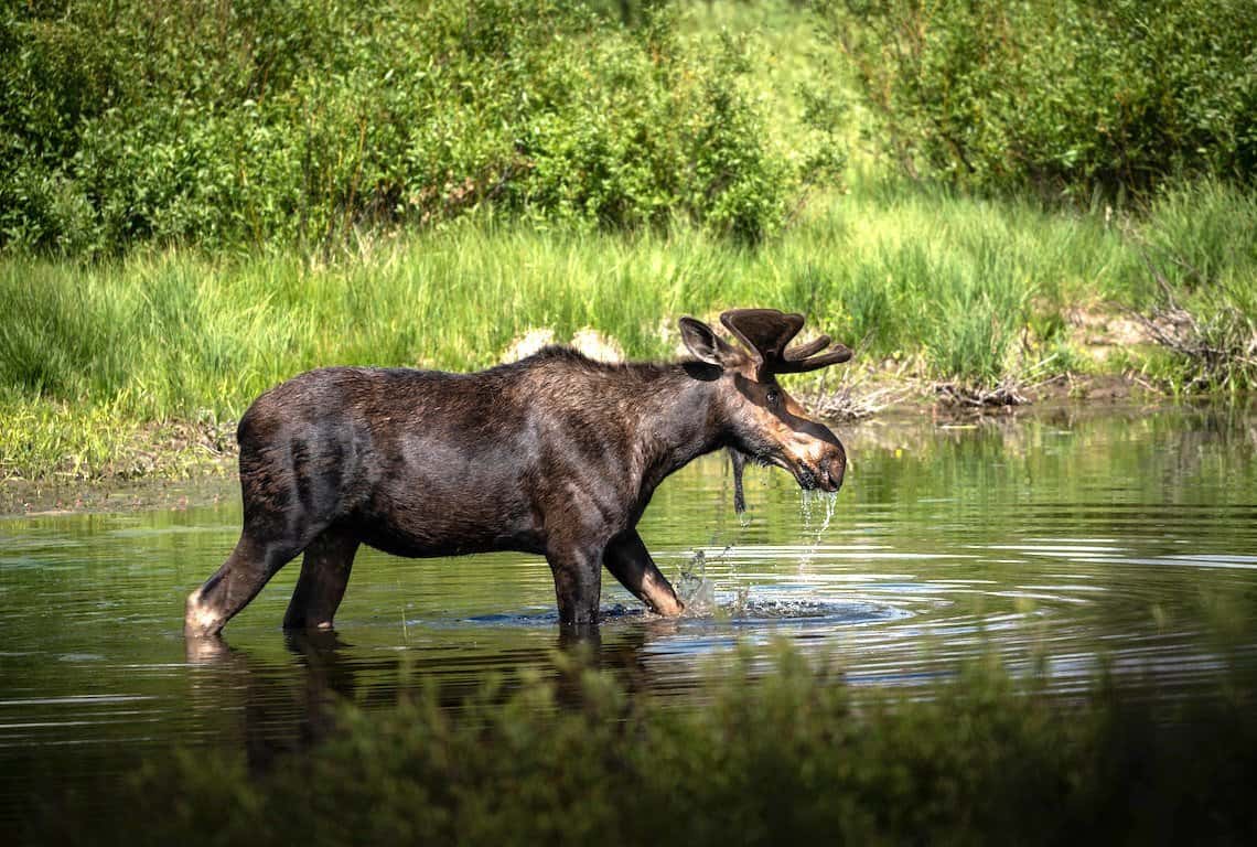 Best Hikes in Grand Teton