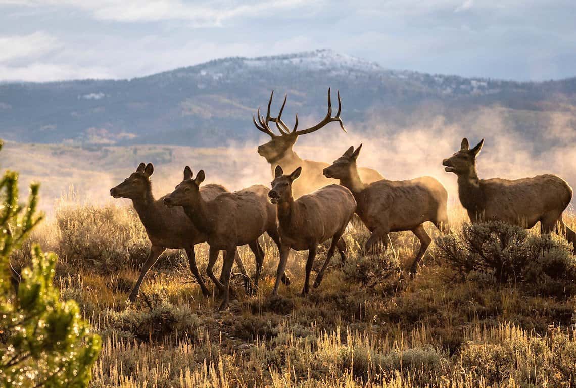 Best Photography Locations in Grand Teton National Park