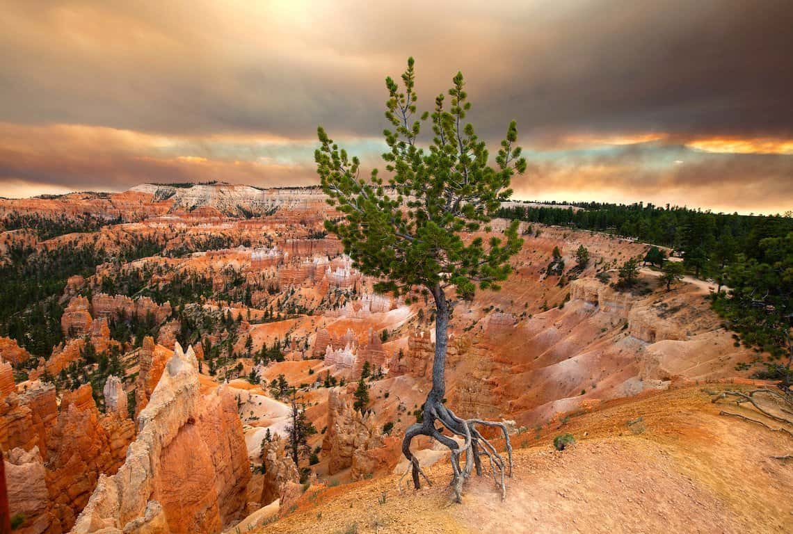 Best Photography Locations in Bryce Canyon