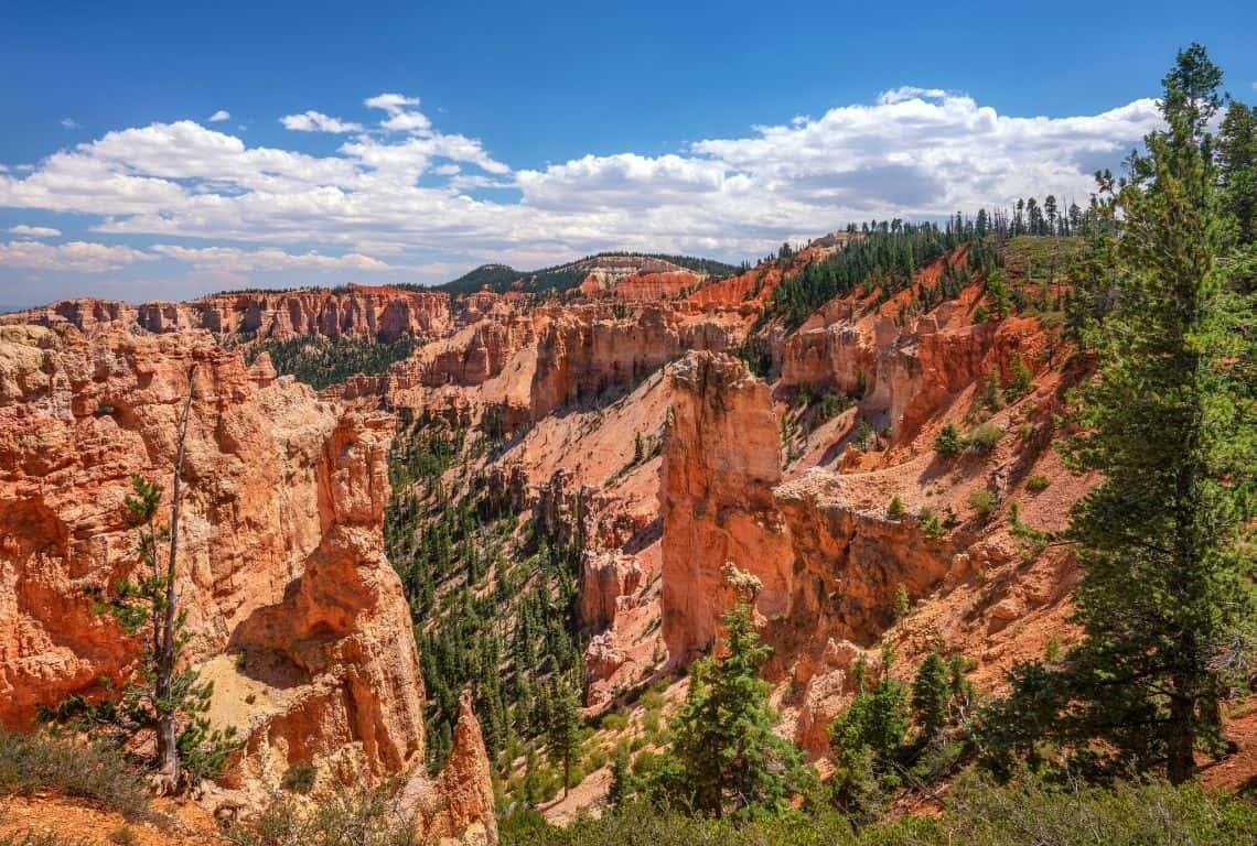 Scenic Drive in Bryce Canyon