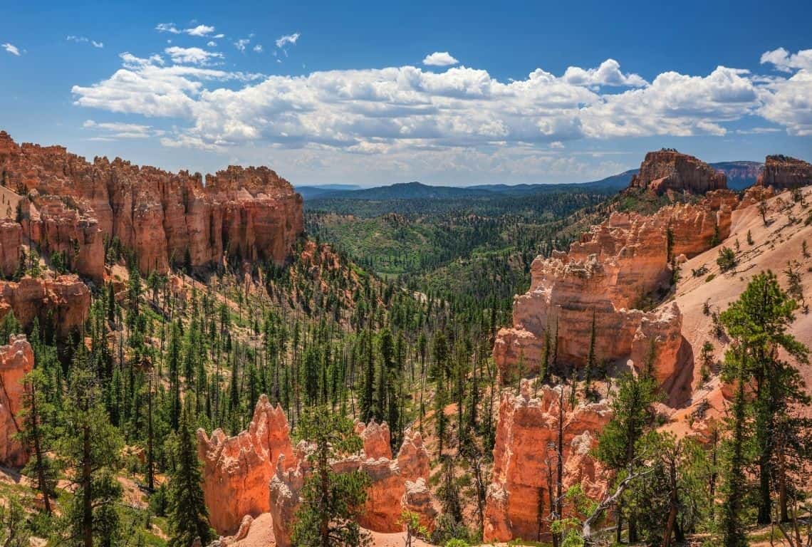Swamp Canyon in Bryce Canyon.