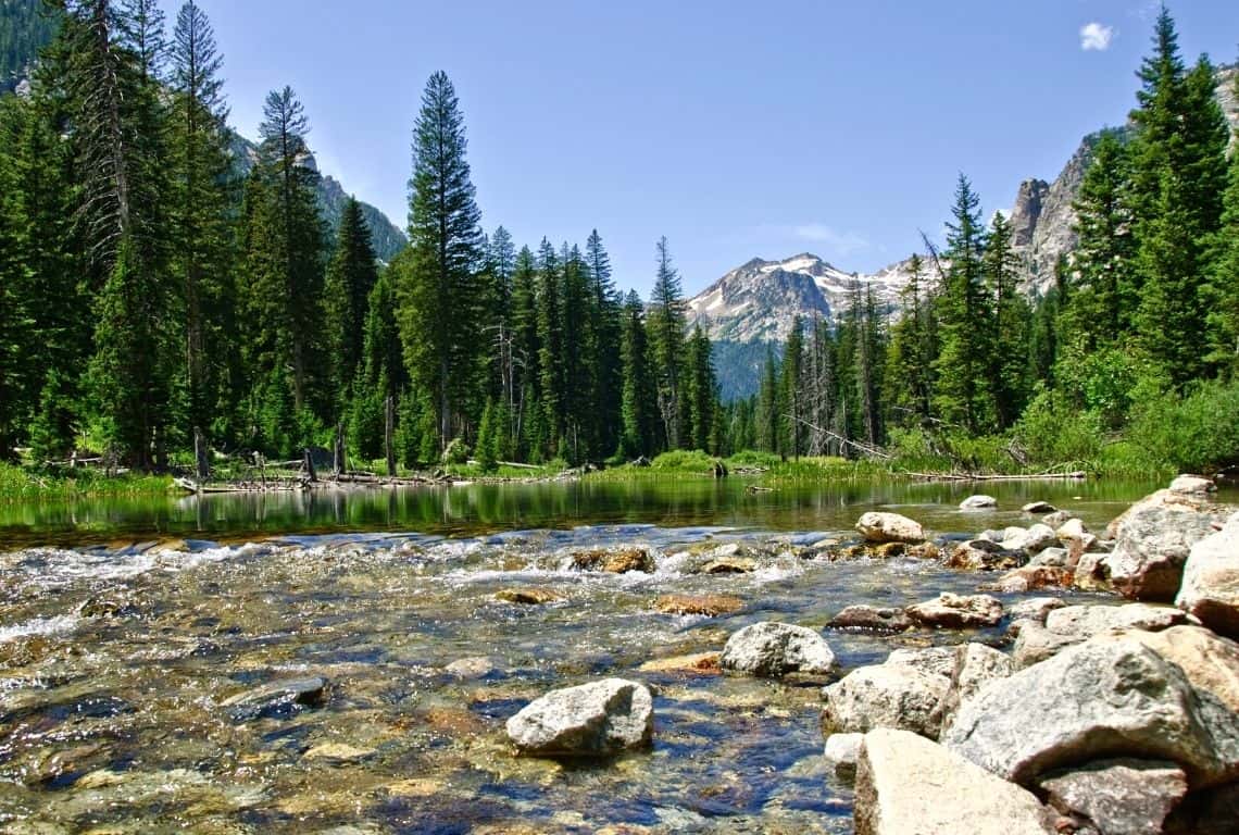 Cascade Canyon Creek in Grand Teton