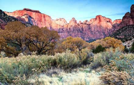 Tips for Visiting Zion