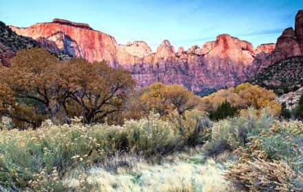 Tips for First Visit to Zion