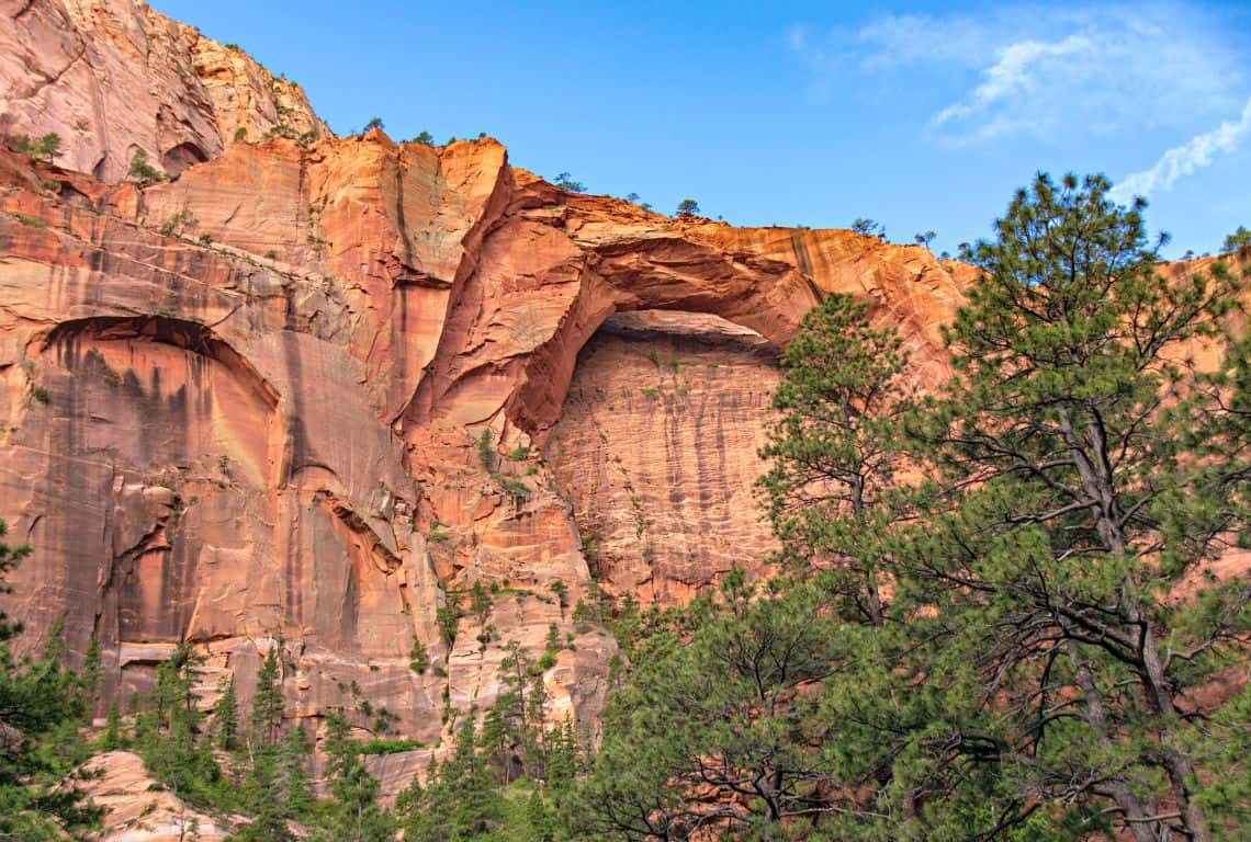 Tips for Visiting Zion