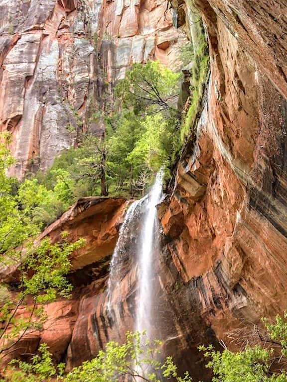 Emerald Pools Trail in Zion