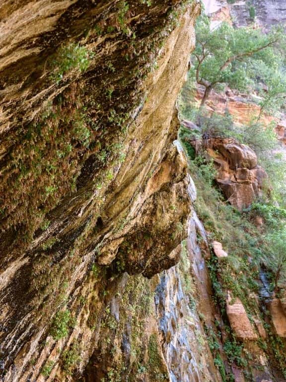 Weeping Rock Trail in Zion