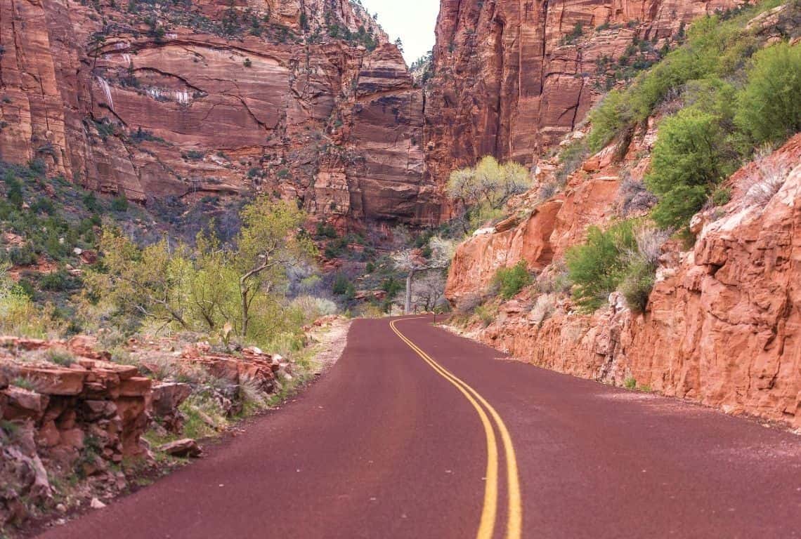 Scenic Drive in Zion