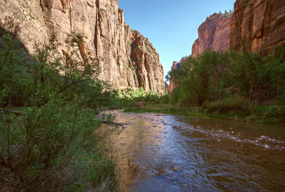 Scenic Drive in Zion