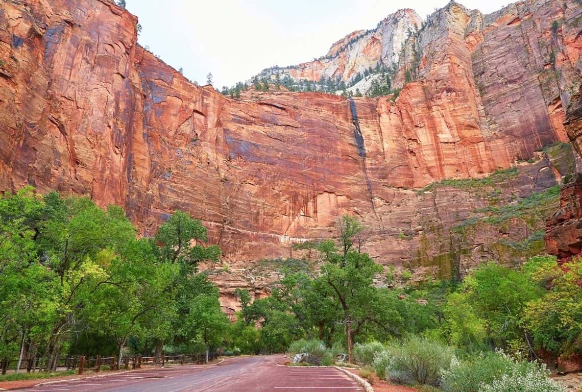 Scenic Drive in Zion